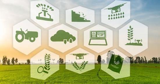 What Is E- Farming